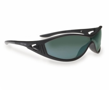 Очки BERTONI P689 
